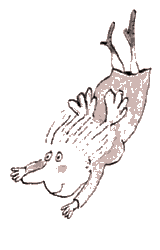 Illustrationer copyright Gunilla Wolde