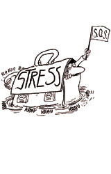 Illustrationer copyright Gunilla Wolde